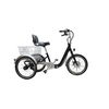 48V 500W Folding Tricycle E-Cargo Bike