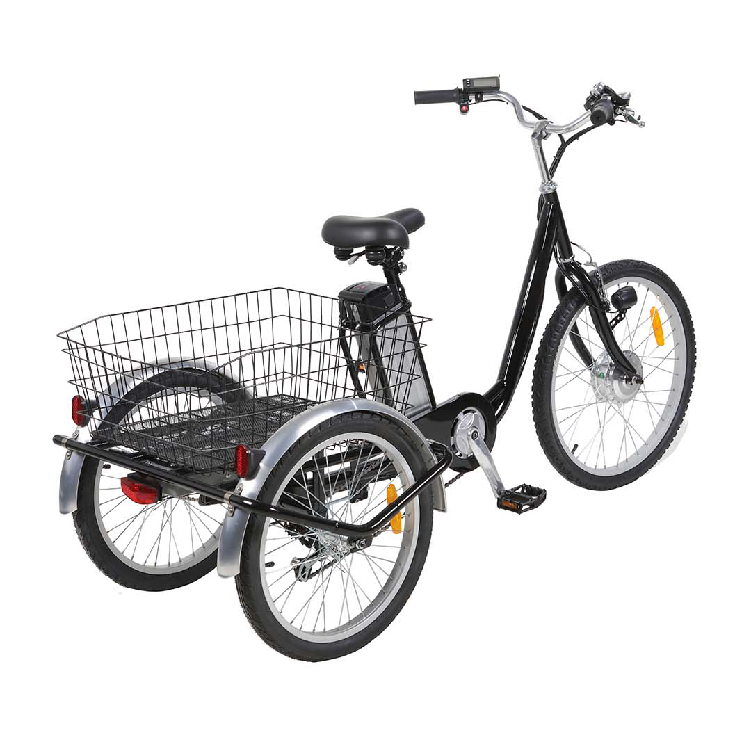 Tricycle E-Cargo Bike