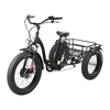 FAT Tire Tricycle Step Through E-Cargo Bike
