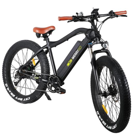Paladin ebike